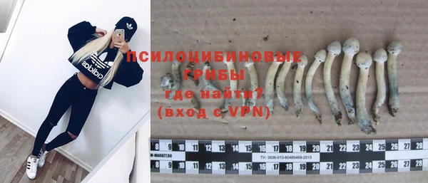 индика Инсар