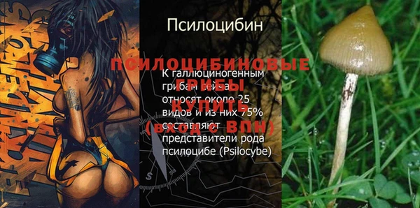 гашик Богородицк
