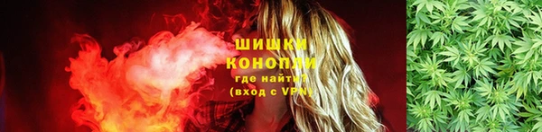гашик Богородицк
