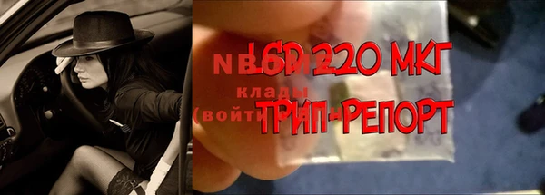 таблы Богданович