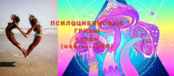 гашик Богородицк