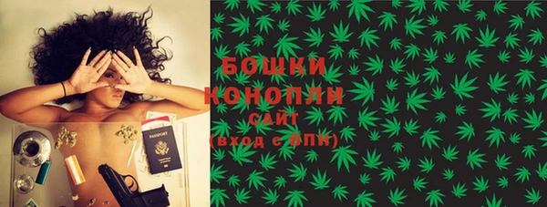 гашик Богородицк