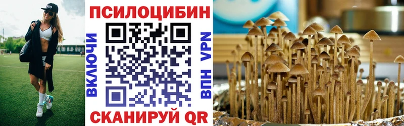 Псилоцибиновые грибы мухоморы  цены   Михайлов 