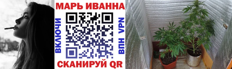 Каннабис OG Kush Михайлов